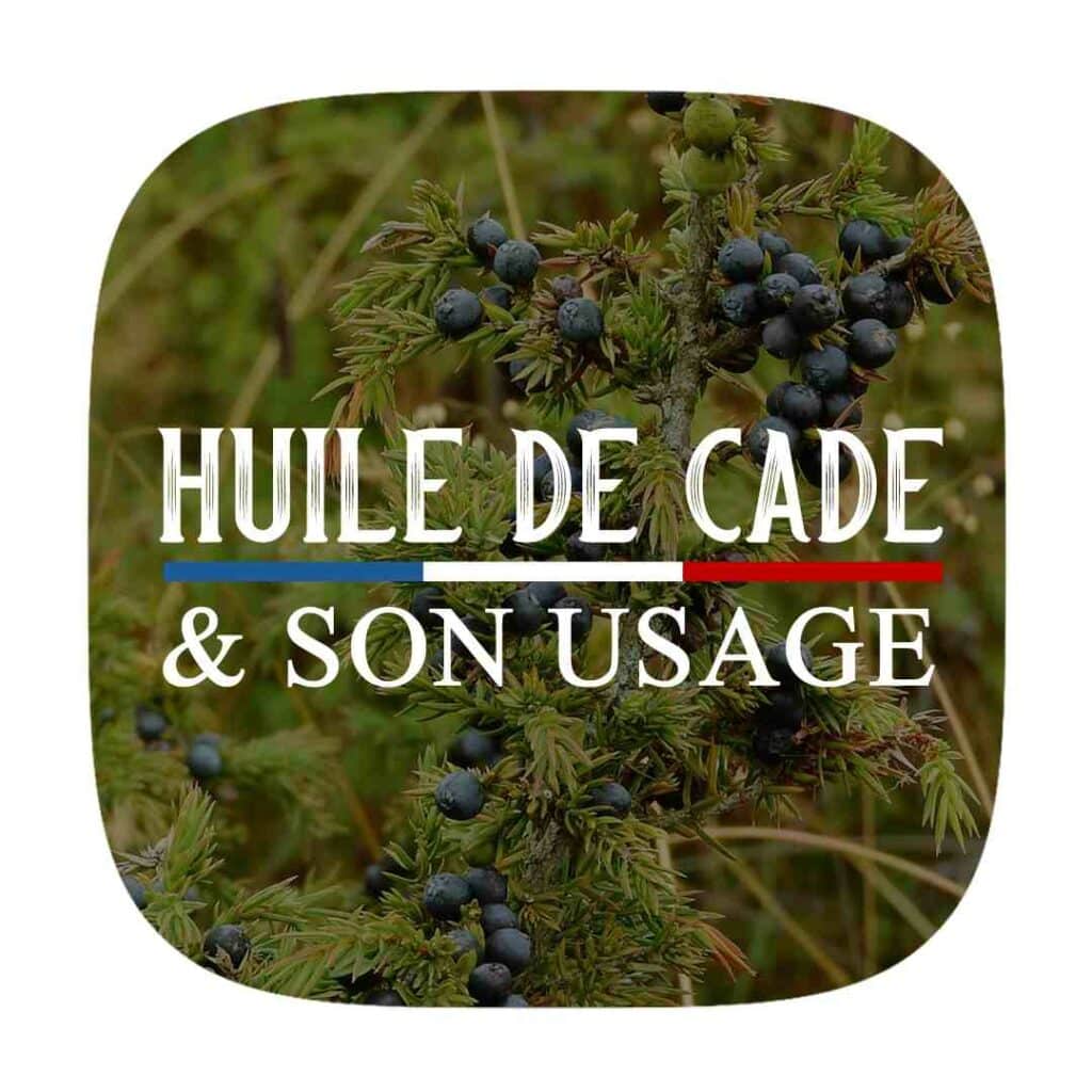 IMAGE HUILE DE CADE ET SON USAGE HUILE DE CADE ET SON USAGE