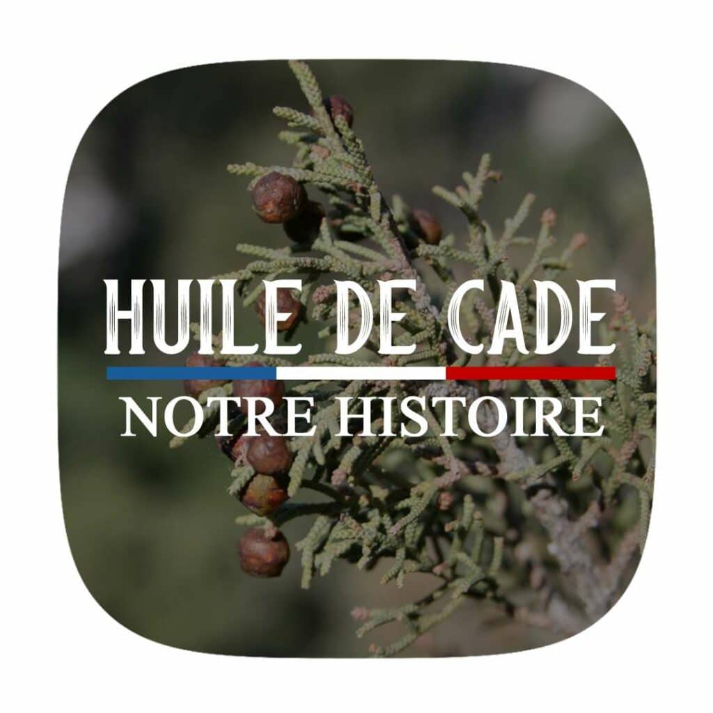 IMAGE HUILE DE CADE NOTRE HISTOIRE