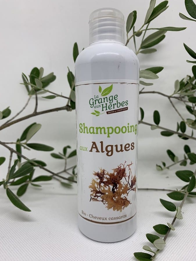 980 Shampooing Algues