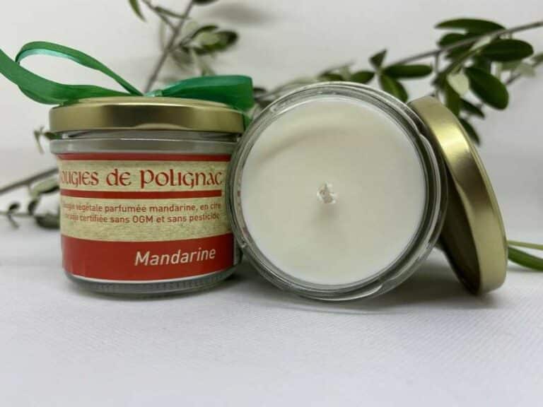 1695 Bougie Vegetale Mandarine