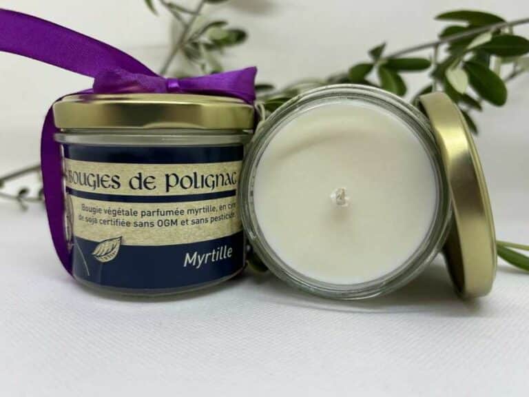 1697 Bougie Vegetale Myrtille