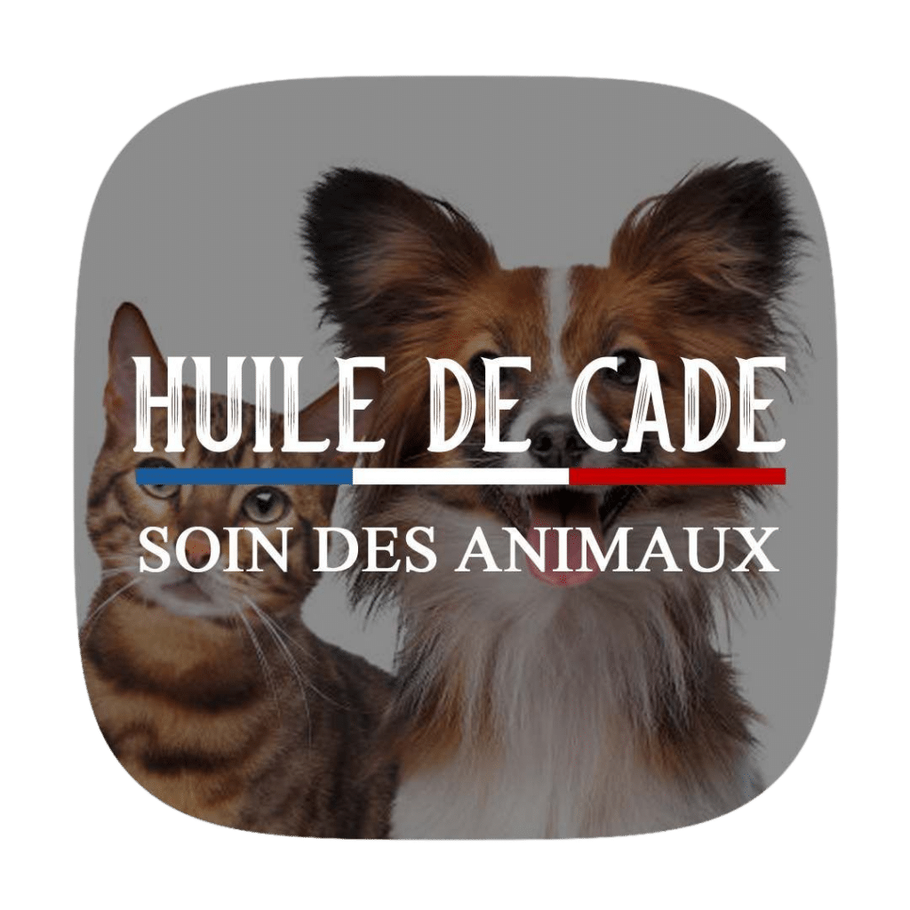 cbcdd3fa 4051 4a72 ad6c d9260d4eedc6